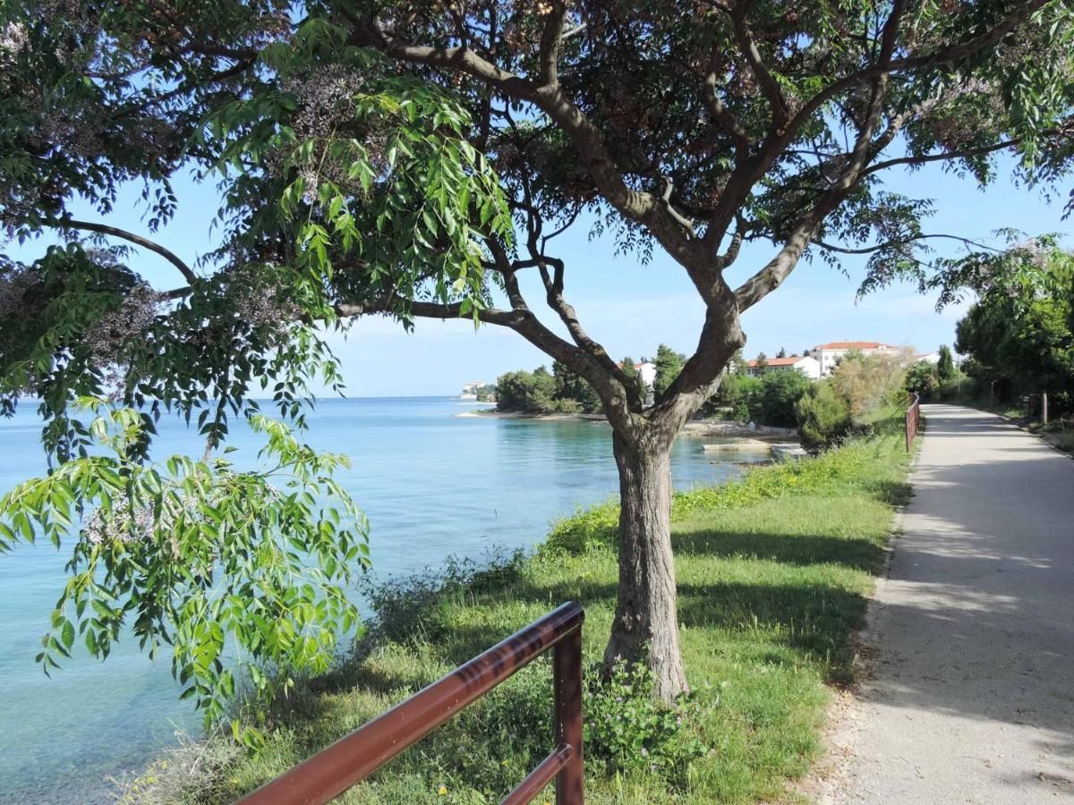 Mila Zadar